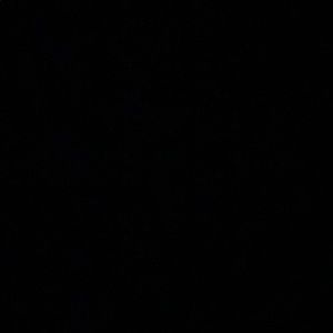 Meet your Posher, Sang